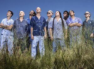 Budweiser Live Circuit - Bersuit